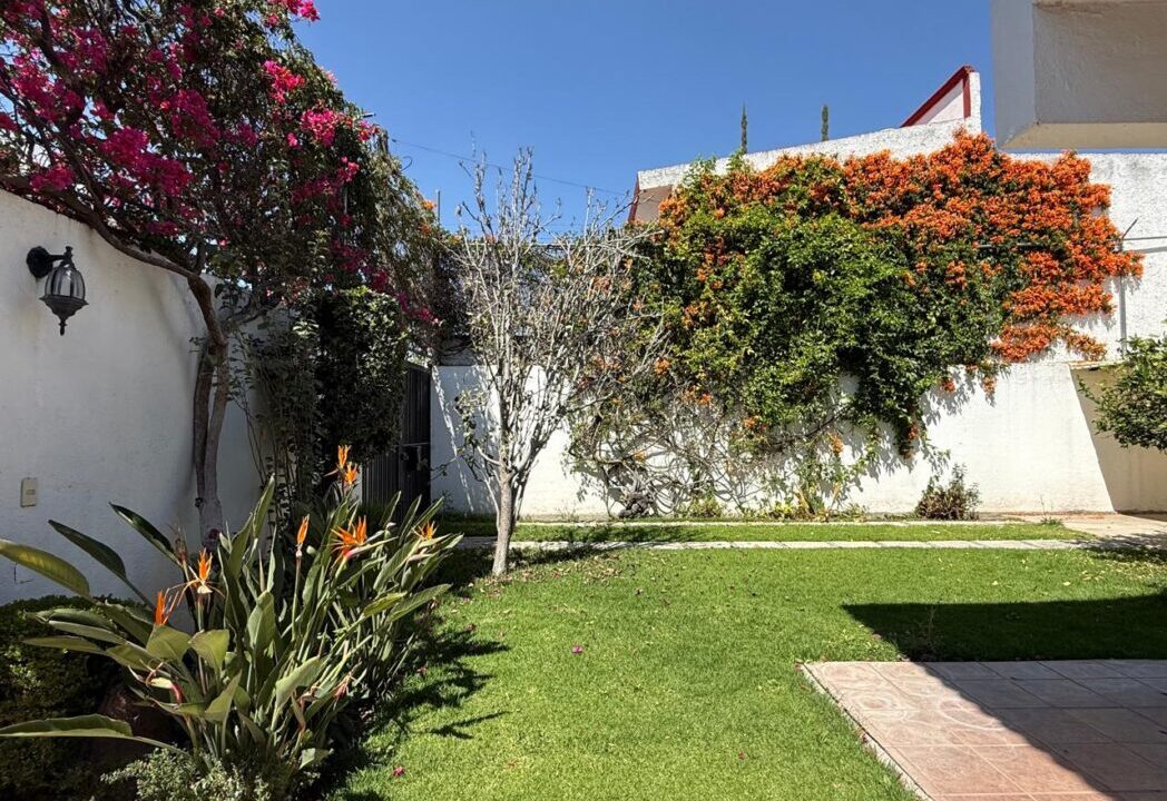 WhatsApp Image 2026-02-23 at 11.30.10 AM (3)