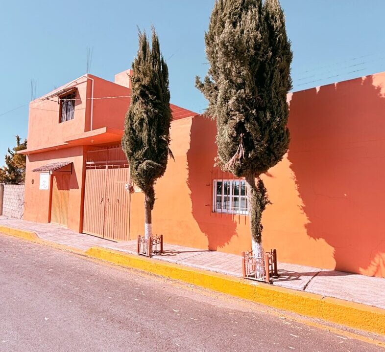 WhatsApp Image 2026-03-12 at 9.59.33 AM