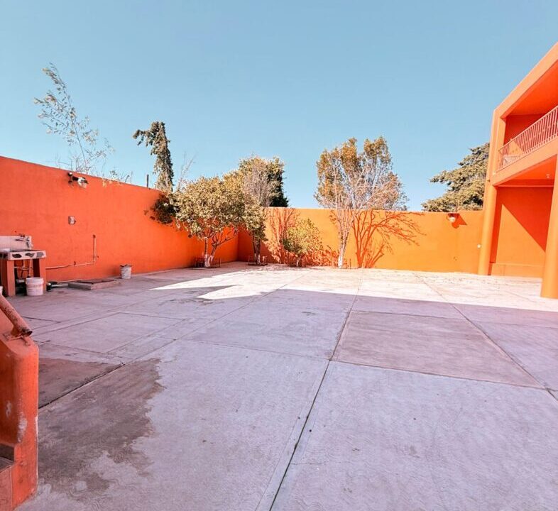 WhatsApp Image 2026-03-12 at 9.59.36 AM