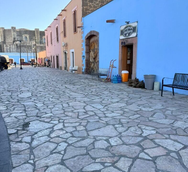 WhatsApp Image 2026-03-12 at 9.59.39 AM