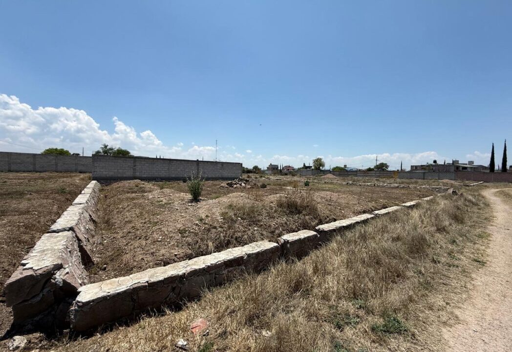 WhatsApp Image 2026-04-15 at 3.38.49 PM (1)