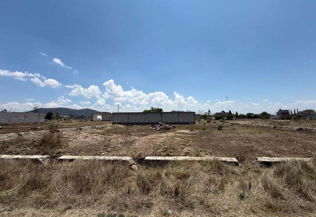 WhatsApp Image 2026-04-15 at 3.38.49 PM