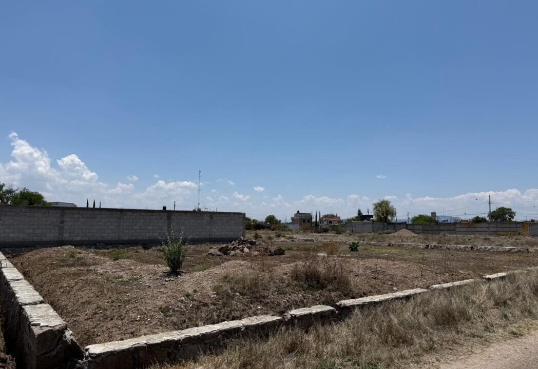 WhatsApp Image 2026-04-15 at 3.38.49 PM (2)